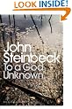 To a God Unknown (Penguin Modern Classics)