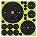 Birchwood Casey� Shoot - N - C� Self - Adhesive Target Variety Pack (5 sheets)