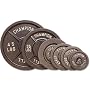 Champion Barbell 10 lbs. Olympic-Style Plate