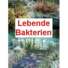 100 g lebende Bakterien f�r den Teich