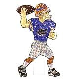 Florida Gators Outdoor Yard Lawn Christmas Decoration
