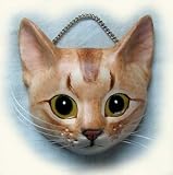 猫面 アビシニアン