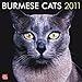 Burmese Cats 2011 Wall Calendar 12