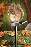 お庭・ガーデニングに　ソーラー電池でリスが点灯　リスの屋外ライト [並行輸入品]