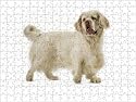 Prints of Dog - Clumber Spaniel from Ardea