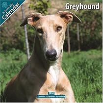 Greyhound 2010 Wall Calendar #10045-10