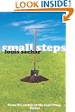 Small Steps