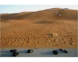 Photographic Print of Oil field inspection from Science Photo Library