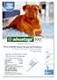 Advantage Topical Flea Treatment for Dogs over 55 Lbs (6 Applications)