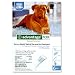 Advantage Topical Flea Treatment for Dogs over 55 Lbs (6 Applications)