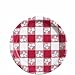 Perfect Picnic Red Gingham Dessert Napkins & Plates Party Kit for 25