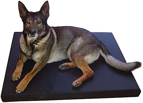 Blue Chip Medical 4" MEMORY FOAM DOG BED For Working Dogs bc-dogbedv-4