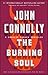 The Burning Soul: A Charlie Parker Thriller (10)
