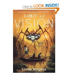 Limit of Vision