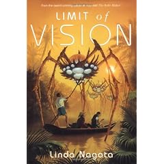 Limit of Vision
