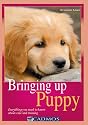 Bringing Up Puppy: Everything You Need to Know About Care and Training