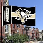 NHL Pittsburgh Penguins Flag with Grommetts (3 x 5-Feet)
