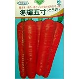越冬五寸人参!冬輝五寸(宇治交配)　数量:8ml