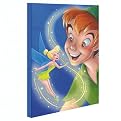 Tinker Bell and Peter Pan Wall Art - 16x20"