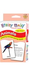 Brainy Baby Animals Flashcards
