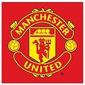 Manchester United Red Crest Canvas Wall Art Picture
