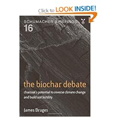 The Biochar Debate: charcoal's potential to reverse climate change and build soil fertility (Schumacher Briefing No 16) (Schumacher Briefings)