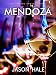 Books : Mendoza, Argentina: A Concise Travel Guide