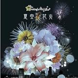 夏空花火