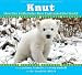 Books : Knut: How One Little Polar Bear Captivated the World