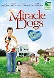 Miracle Dogs
