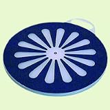 Safety Sure Transfer Pivot Disk