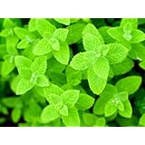 ���i�̏ڍ�