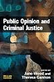 Public Opinion and Criminal Justice