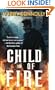 Child of Fire: A Twenty Palaces Novel