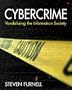 Cybercrime Vandalizing the Information Society