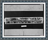 Historic Print (M): 'Neath palms and sunshine; William Jennings Bryan's Presbyterian Tourist Bible Class, Mi