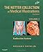 The Netter Collection of Medical Illustrations: The Endocrine System: Volume 2 (Netter Green Book Collection)