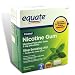 Equate Nicotine Gum Polacrilex 2 mg Mint Flavor, 100-Piece Box