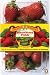 Strawberry Fields (Paperback)