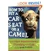 How to Fit a Car Seat on a Camel: And Other Misadventures Traveling with Kids