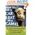 How to Fit a Car Seat on a Camel: And Other Misadventures Traveling with Kids