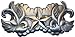 S17 Black Painted Star Bird Belt Buckle Tattoo swallow Sparrow