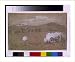Historic Print (L): Gettysburg. View of the hills on the left of our position from th...