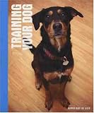 Training Your Dog