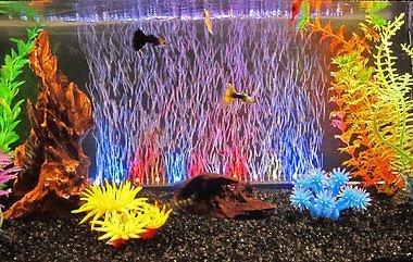 Aquarium Fish Tank Multicolor Led Light With Air Stone Rs A46
