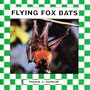 Flying Fox Bats