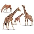 Schleich kt-20066 Giraffenfamilie 14389, 14320, 14390, 14321 (4-teilig)
