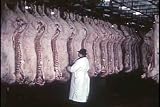 Classic Beef & Pork Industry Films DVD: 1920s - 1960s Butcher Shop, Meat Packing, & Meat Canning & Cattle & Pig Farming Industry Films Including Vintage Meat Production Footage Of Hormel's Famous Canned Meat SPAM