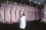 Classic Beef & Pork Industry Films DVD: 1920s - 1960s Butcher Shop, Meat Packing, & Meat Canning & Cattle & Pig Farming Industry Films Including Vintage Meat Production Footage Of Hormel's Famous Canned Meat SPAM