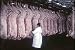 Classic Beef & Pork Industry Films DVD: 1920s - 1960s Butcher Shop, Meat Packing, & Meat Canning & Cattle & Pig Farming Industry Films Including Vintage Meat Production Footage Of Hormel's Famous Canned Meat SPAM